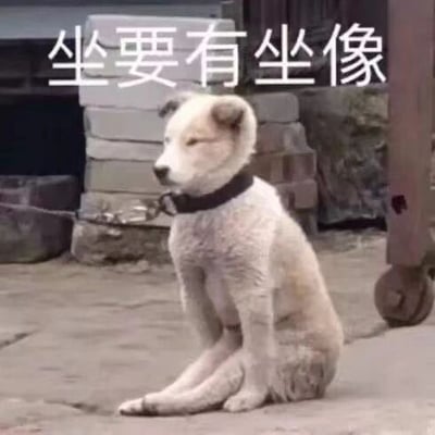 这是一张文字加注类的静态表情素材图，画面主体是一只土狗，它以非常类似人类的端正坐姿坐着，身体挺直，前爪自然放在身前，面部表情看起来有些严肃。图片上方配有白色文字“坐要有坐像”，这句话原本是用来要求人保持端正的坐姿，搭配这只坐姿特殊的狗，形成了强烈的反差感，制造出幽默搞笑的效果，常被用作表情包，以调侃的方式提醒他人注意仪态，或者单纯用来活跃聊天氛围，图中没有双关、谐音梗等内容。