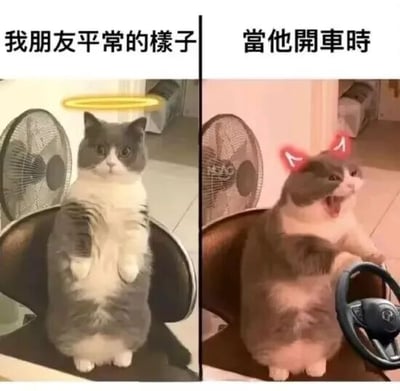 图片为左右对比图，左侧标题为'我朋友平常的样子'，画面中一只灰白猫站立在椅子上，头顶有黄色光环，表情平静乖巧；右侧标题为'當他開車時'，同一只猫戴着红色恶魔角，双手握着方向盘，嘴巴大张像是在愤怒咆哮。通过萌宠的反差形象幽默调侃朋友平时温和与开车时暴躁的状态对比，充满趣味性。