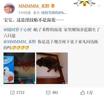 这是一张微博截图，用户「随时猝于心梗」发布动态称自己贴了博主「MMMMMM_禾野」的「窗花」后，家里刚领养的蓝猫就生了六只崽，调侃博主是送子观音座下童子；博主转发回复澄清，那不是窗花而是淫纹贴。配图一张是红色的淫纹贴图案，另一张是蓝猫和它的六只幼崽的照片。整个内容因误会巧合产生了搞笑的效果，属于生活中的趣味宠物趣事。

其中的笑点在于将淫纹贴误认成窗花，加上贴完后猫恰好生崽的巧合，形成了荒诞的因果调侃。