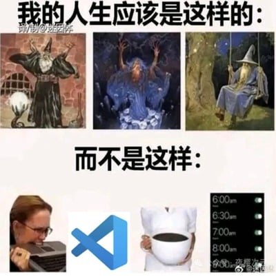 这是一张对比式幽默梗图，上方以「我的人生应该是这样的：」为标题，展示了三幅充满奇幻色彩的巫师插画——分别是黑袍巫师在古堡中施展魔法、蓝袍巫师在神秘水中施法、以及白袍巫师在树下悠闲荡秋千，代表着理想中充满奇幻与自由的生活。下方以「而不是这样：」为标题，展示了四幅现实生活场景——包括埋头工作的疲惫女性、被拒绝的播放按钮图标、捧着巨大咖啡杯的人、以及从清晨6点开始排满的日程表，形成鲜明反差，幽默地表达了理想与现实的差距。
