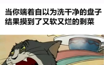 这是一张使用《猫和老鼠》中Tom形象的表情包。图片上方配有文字：'当你端着自以为洗干净的盘子结果摸到了又软又烂的剩菜'，下方是Tom露出厌恶且震惊表情的卡通画面，生动地表现了发现盘子里有残留剩菜时的恶心感受，引发观众共鸣。