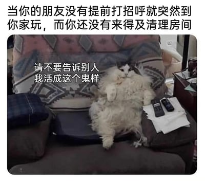 这是一张文字加注的宠物梗图，顶部配有文字“当你的朋友没有提前打招呼就突然到你家玩，而你还没有来得及清理房间”，图中一只毛发蓬松的猫咪四脚朝天地瘫躺在杂乱的沙发上，沙发上还散落着遥控器、纸张等杂物，猫咪旁配文“请不要告诉别人我活成这个鬼样”。这张图用猫咪窘迫又狼狈的状态，代入主人在朋友突然到访、撞见自己乱糟糟居住环境时的社死、无奈心情，精准贴合了年轻人独居时偶尔邋遢，怕被朋友撞见的日常心态，充满搞笑感与共鸣感。