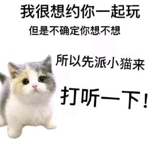 图片左侧是一只灰白相间的可爱小猫，它有着圆圆的大眼睛和毛茸茸的身体，正乖巧地站立着。右侧配有黑色文字：“我很想约你一起玩 但是不确定你想不想 所以先派小猫来 打听一下！”。整体画面温馨治愈，通过小猫作为“信使”的可爱形象，巧妙表达了想邀约对方却又因不确定对方心意而略带羞涩的心情，充满了萌系趣味。