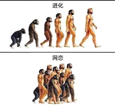 这是一张上下布局的对比式静态梗图，上半区域标题为“进化”，呈现了生物学中经典的人类演化序列：从四肢行走的黑猩猩开始，逐步演化成能够完全直立行走的现代人类，完整展示了人类从猿类到智人的正向进化过程；下半区域标题为“网态”，将上述进化序列完全反向，呈现出一群人类逐步退化为猿类的过程，通过这种夸张的反向对比，幽默地调侃网络环境中存在的非理性发言、低质量互动等现象，暗指部分人在网络中的行为或状态仿佛出现了“退化”，带有强烈的讽刺和戏谑意味。