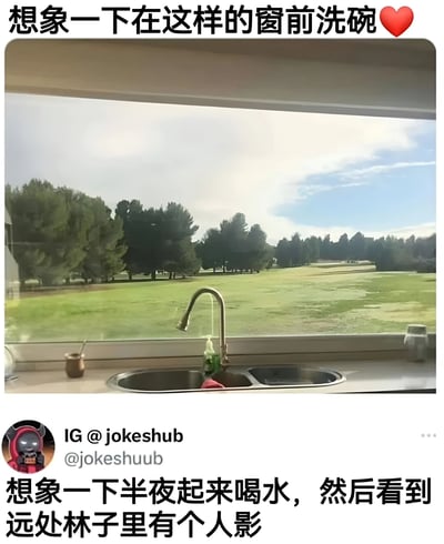 图片展示了一个厨房水槽场景，窗外是开阔的绿色草坪和茂密树林，营造出宁静惬意的氛围。上方文字“想象一下在这样的窗前洗碗❤️”试图传递浪漫美好的生活想象，而下方文字“想象一下半夜起来喝水，然后看到远处林子里有个人影”则突然转折，用惊悚元素打破浪漫，形成强烈的反差幽默效果。