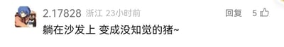 这是一张静态的社交媒体评论区截图，画面呈现了一条用户评论内容。网名为2.17828的用户，IP属地显示为浙江，在23小时前发布了这条评论，内容为“躺在沙发上 变成没知觉的猪~”，以幽默自嘲的方式调侃自己瘫在沙发上、放松到对外界毫无知觉的慵懒状态。评论左侧是用户的卡通头像，头像中是一位蓝发卡通人物怀抱着一只小动物，表情平静；评论右侧配有回复按钮和显示为5的点赞数。