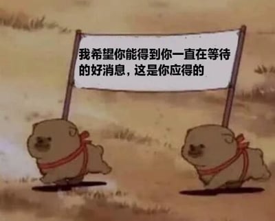图片中是两只可爱的卡通小狗，它们脖子上系着红色丝带，共同抬着一个白色横幅。横幅上写着“我希望你能得到你一直在等待的好消息，这是你应得的”。背景是简单的土黄色地面和稀疏的草丛，整体风格温馨治愈，传递出积极鼓励的情感。