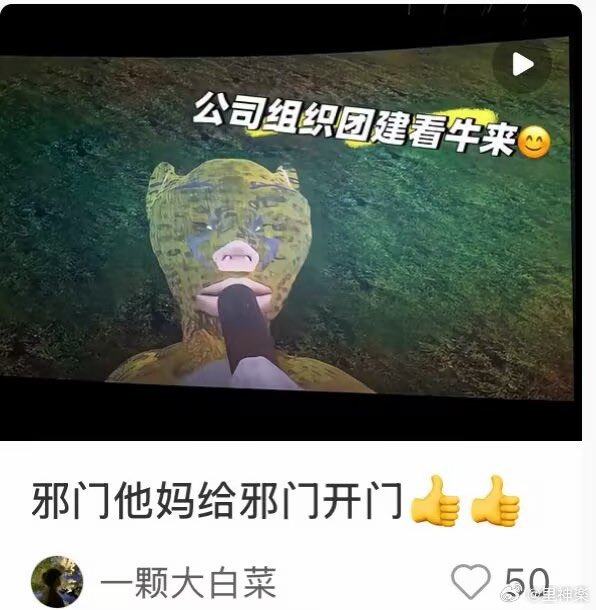 未知游戏（玩家捏脸创作）