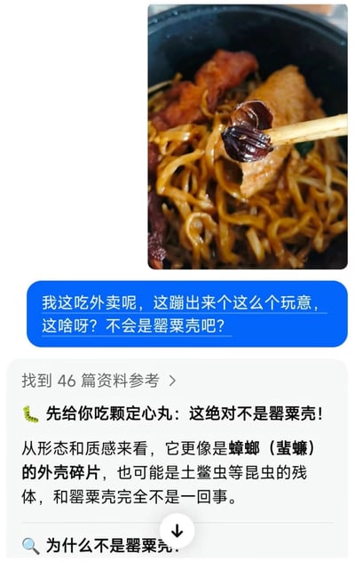 这是一张社交媒体科普内容截图，上方是一份外卖焖面的实拍图，一根筷子夹着一块深褐色壳状的异物；下方蓝色对话框是提问用户的内容，用户表示吃外卖时吃出这个物体，怀疑它是罂粟壳；再下方是科普解答内容，明确说明这个物体绝对不是罂粟壳，从形态和质感判断，它更像是蟑螂或者其他昆虫的外壳残体，截图还显示有46篇参考资料，下方设置了进一步查看的入口。