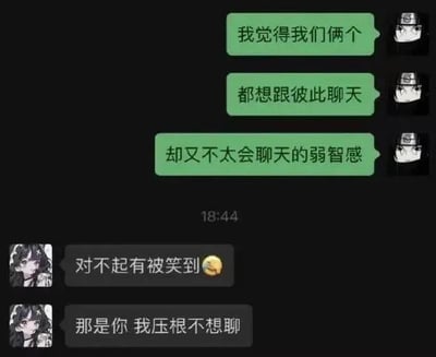这是一段充满反差感的搞笑聊天记录截图：绿框用户（使用《火影忍者》旗木卡卡西作为头像）先自我调侃，认为双方都有聊天意愿但不擅长聊天，试图开启话题；灰框用户先是回复“对不起有被笑到😅”，紧接着补刀“那是你 我压根不想聊”，直接打破前者的自我脑补，制造出强烈的尴尬与扎心感，笑点十足。
无双关、谐音梗或暗示内容。