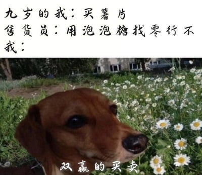 图片上半部分为黑色手写体文字：'九岁的我：买薯片 售货员：用泡泡糖找零行不 我：'，下半部分是一张棕色小狗在开满白色小花的草地上的照片，小狗表情平静，眼神看向镜头，图片底部配有文字'双赢的买卖'。整体通过文字对话与小狗的呆萌形象形成幽默反差，暗示九岁的'我'默许了用泡泡糖找零的交易，以'双赢'收尾，展现童年时期简单纯真的快乐。