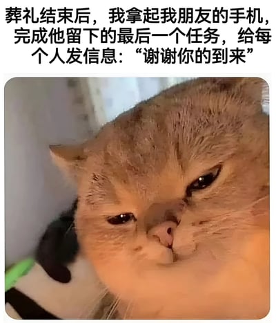 这张梗图上方是一段文字：“葬礼结束后，我拿起我朋友的手机，完成他留下的最后一个任务，给每个人发信息：‘谢谢你的到来’”。下方是一张橘猫的特写照片，猫咪表情严肃，眼神直视前方。图片通过将严肃的葬礼场景与猫的表情结合，创造出黑色幽默的效果。