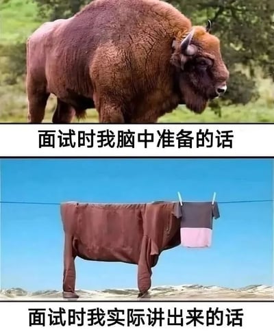 这是一张上下对比的梗图。上半部分是一只体型健壮、毛发厚实的野牛，配文“面试时我脑中准备的话”，象征着面试前精心准备、条理清晰的状态；下半部分是一块形状类似野牛但皱巴巴、毫无立体感的棕色布料挂在晾衣绳上，配文“面试时我实际讲出来的话”，用布料的干瘪、杂乱形象比喻实际面试时紧张导致表达混乱、思路不清的真实情况。通过野牛和布料的强烈视觉反差，幽默地展现了面试中理想与现实的差距。