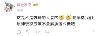 这是一张游戏社区的用户评论截图，用户“微微凉児”（LV5）发布了带有两个愤怒表情的评论，内容为“这是不是方舟的人装的😤😤我感觉我们原神玩家应该不会素质这么低吧”。该内容体现了游戏圈中不同游戏玩家群体间的阵营对立心态，当出现低素质行为时，该玩家不愿相信是同游戏的原神玩家所为，转而怀疑是竞品游戏《方舟：生存进化》的玩家故意伪装引战。