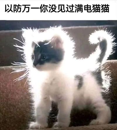 图片上方配有文字'以防万一你没见过满电猫猫'，下方是一只黑白相间的小猫，其身体周围被添加了明亮的白色发光特效，毛发呈现炸开般的蓬松状态，尾巴也带有同样的发光效果。整体造型生动有趣，将小猫比喻为'满电'状态，形象地展现了猫咪充满活力的可爱模样，给人活泼俏皮的感觉。