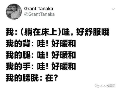 这是一张推特（X平台）用户发布的搞笑梗图，以图文混排的形式，用拟人的手法还原了一个极具共鸣的日常场景：当“我”躺在床上，正沉浸在身体各部位被被窝温暖包裹的舒适感中时，膀胱的突然“出声”打破了这份惬意，精准戳中了很多人都经历过的“刚躺舒服就想上厕所”的生活小尴尬，通过身体各部位的反差发言制造出幽默效果，没有双关、谐音梗等内容，就是对日常小无奈的趣味吐槽。