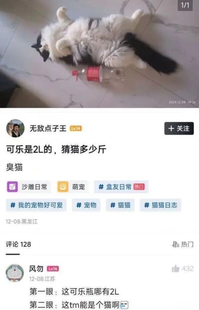 这是一张社交媒体内容截图，上方实拍图里一只黑白长毛猫四仰八叉躺在大理石纹理地砖上，旁边放着一个2升装的可乐瓶，猫的体型比2L可乐瓶大出不少。下方是发布者“无敌点子王”的配文，称可乐是2L的，让网友猜测猫的体重，还称呼猫为臭猫，附带多个萌宠相关话题标签。热门评论调侃第一眼以为可乐瓶没有2L，第二眼才发现是猫太胖，看起来根本不像猫，结合标题的吐槽，可知这只猫因体重远超普通猫咪，被调侃像猪。按照2L可乐约4斤的重量推算，这只猫的体重预估在15斤以上。