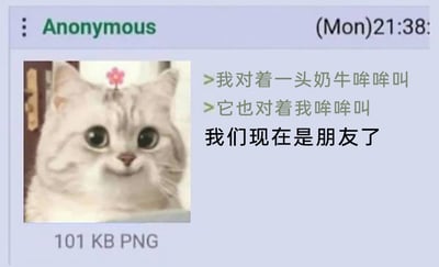 这是一张带有匿名论坛发帖风格的治愈系梗图，界面顶部显示发布者为Anonymous（匿名用户），发布时间为周一21:38。配图是一张大小为101 KB的PNG格式图片，内容为一只头顶有粉色小花、眼神软萌面带笑意的白色猫咪。文字部分是匿名用户的自述：先是说自己对着一头奶牛哞哞叫，接着奶牛也对着自己哞哞叫，最后得出“我们现在是朋友了”的结论。整体用非常童真、简单的视角看待与动物的互动，搭配软萌的猫咪图，营造出治愈、可爱的氛围，没有双关、谐音梗等特殊表意，只是单纯的童趣日常分享。