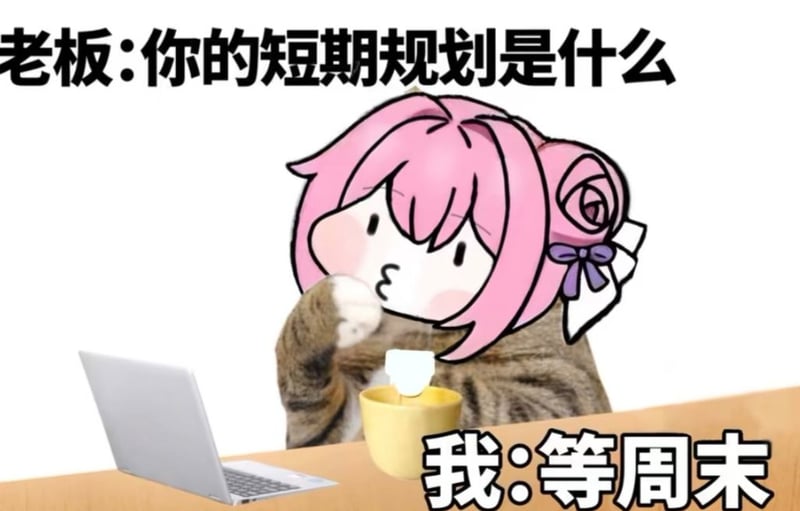 老板问短期规划的Doro只想等周末