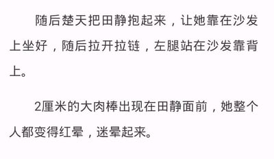 这是一张纯文字类网络梗图，内容为一段带有低俗暗示的小说式文字：先描述楚天将田静抱到沙发上，做出拉开拉链、腿站在沙发靠背的暧昧动作，营造出引人联想的氛围，随后引出‘2厘米的大肉棒’，形成强烈的预期反差，利用读者的联想与实际内容的落差制造荒诞搞笑的效果，属于典型的文字反差类meme。