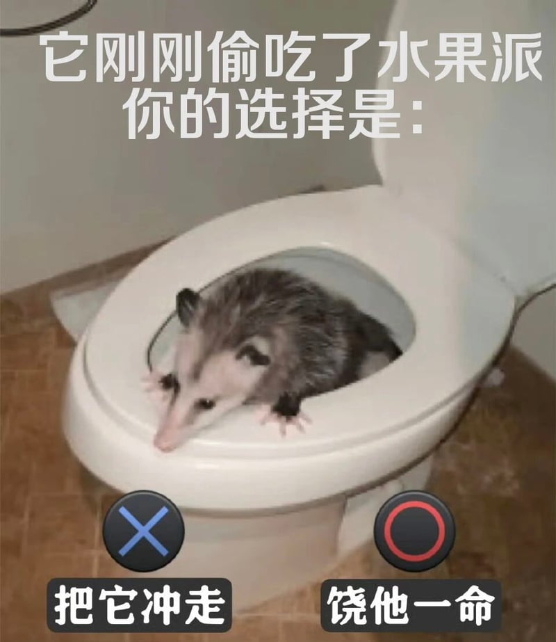 负鼠