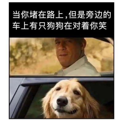 这是一张上下拼接的梗图，上方是演员道恩·强森面无表情地从车窗向外看的照片，下方是一只金毛犬微笑着从车窗向外探头的照片。图片顶部配有文字：'当你堵在路上，但是旁边的车上有只狗狗在对着你笑'，通过对比展现了堵车时遇到可爱狗狗带来的心情转变，营造出温馨治愈的氛围。