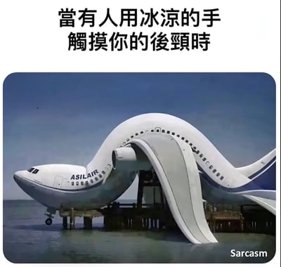 图片上方有文字'当有人用冰凉的手触摸你的后颈时'，下方是一张经过夸张处理的飞机图片。飞机机身呈现出不自然的弯曲形状，仿佛因受到惊吓而剧烈扭曲，幽默地表现了人在被冰凉的手触摸后颈时的本能反应。右下角有'Sarcasm'字样。