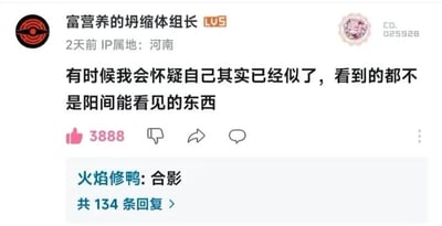 这是一张网络社交平台的评论截图，主评论表达了网友一种常见的“幻觉感”或“虚无感”：怀疑自己已经死掉，看到的都不是正常人能看见的东西。该类说法常在网络上自嘲心理压力大、精神状态不佳或脱离现实，创意俏皮又透露一丝自我调侃式的丧气氛围。下面有高赞回复“合影”，延续了玩梗氛围，将网友幽默地带入“灵异式”自嘲小圈子。整体气质轻松、带点哲学思考及无力自嘲感。

双关梗说明：用“阳间能看见的东西”暗示现实世界，调侃自己精神萎靡或压力大，产生“幽灵视角”；“合影”梗常用于网友对类似场景幽默捧场。