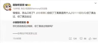 这是一组来自微博平台的互动截图，核心是利用“但丁”（《神曲》中游历地狱的诗人）与“丁真”（真实人物）的名字谐音制造歧义玩梗。初始提问是网友“再也不吃发芽土豆”发出的“你们总说他见过地狱，但丁真去过地狱吗？”，故意混淆两个名字；随后网友“111能吃吗”接梗回应“但丁真去过，但丁真没去过”，将歧义具象化；网友“寒舞C”补充“但丁丁真真是两个人”进一步强化梗点；最后“弱智吧官微”调侃“慢慢说，怎么口吃了？”，把层层递进的玩梗推向趣味高潮，整个对话链条充满了文字游戏的趣味性。