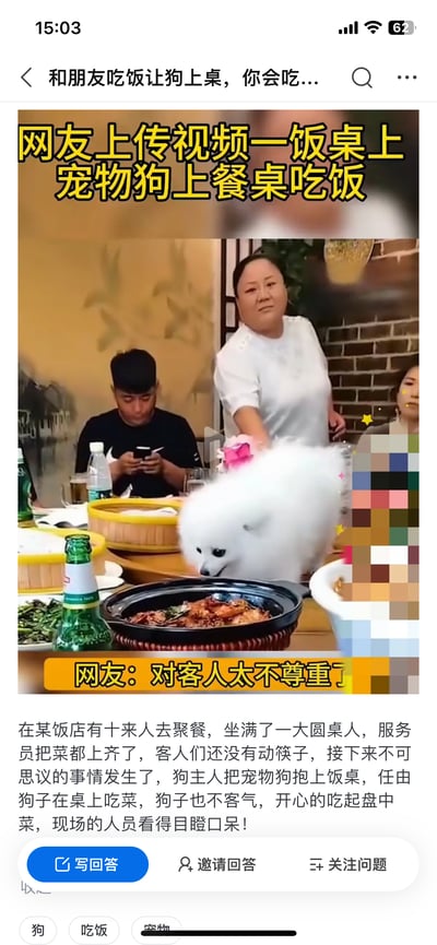 社交媒体截图展示了一段引发热议的聚餐场景：饭店圆桌旁坐满食客，一只白色宠物狗被主人抱上餐桌，直接低头吃盘中菜肴。画面中穿白色上衣的女性站在桌边，旁边黑衣男子低头看手机，部分客人面部被马赛克处理。图上方黄色大字标题写着'网友上传视频一饭桌上宠物狗上餐桌吃饭'，下方橙色条标注'网友：对客人太不尊重了'，正文详细描述事件经过：服务员上完菜客人未动筷时，狗主人让狗上桌吃菜，现场人员目瞪口呆。该场景因涉及餐桌卫生与礼仪引发网络争议。