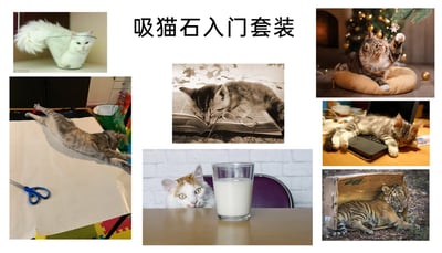 这是一张多图拼接的趣味图片，标题“吸猫石入门套装”玩了谐音梗，将当下流行的“吸猫”（喜爱猫咪、撸猫的说法）与“入门套装”结合，集合了7张展现猫咪（含一张伪装成猫咪的老虎）搞笑可爱瞬间的摄影作品：左上角是一只白猫钻进玻璃容器中，神态平静；左中是一只虎斑猫趴在桌沿，伸展身体，姿态放松；中上部是一只灰猫趴在摊开的书本上，头部旁架着眼镜，模仿人类看书的模样，神态困倦；中下部是一只橘白猫躲在牛奶杯后方，探出头好奇地看向镜头；右上角是一只长毛猫躺在垫子上，抬起爪子玩悬挂的装饰，神态专注；右中是一只虎斑小猫趴在笔记本电脑上，睡得十分香甜；右下角是一只老虎钻进纸箱中，模仿猫咪爱钻盒子的习性，神态慵懒。这些图片通过拟人化场景、猫咪的天然萌态以及反差感的老虎模仿行为，打造出“吸猫套装”的趣味概念，满足“吸猫”爱好者的趣味需求。