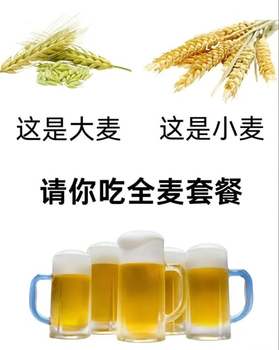 图片上方左侧展示绿色的大麦穗，标注'这是大麦'；右侧展示金黄色的小麦穗，标注'这是小麦'。图片下方是五杯装满黄色啤酒的玻璃杯，杯口有白色泡沫。中间有文字'请你吃全麦套餐'，利用'全麦'与'全麦'的谐音制造幽默效果，暗示用大麦和小麦酿造的啤酒套餐。