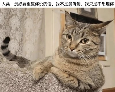 这是一张静态表情包图片，主体是一只趴在地毯台面上的狸花猫，猫咪表情冷淡疏离，前爪交叉搭在台面边缘，姿态慵懒又带着傲娇感。图片顶部配有拟人化文字“人类，没必要重复你说的话，我不是没听到，我只是不想理你”，将猫咪的傲娇姿态与人类不想回应他人的情绪结合，精准表达出日常中不想搭理别人、对重复的话语感到不耐烦的心情，适合在社交场景中用来回复他人的重复请求或唠叨，十分生动有趣。