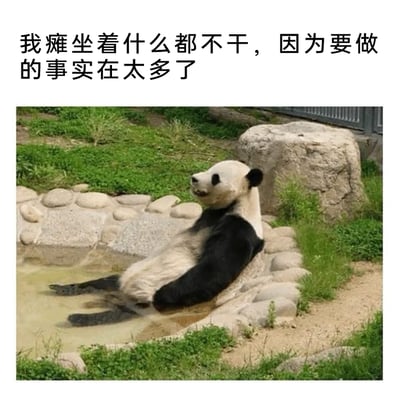 这是一张图文混排的表情素材图，上方配有文字“我瘫坐着什么都不干，因为要做的事实在太多了”，下方是一只真实的大熊猫半躺在浅水池中，双腿泡在水里，身体倚靠在池边，表情放松惬意，姿态慵懒。这张图通过大熊猫的躺平姿态，生动地比喻了当代人尤其是职场人面对过多待办事项时，反而产生逃避心理、什么都不想做的情绪，能够引发人们的共鸣。