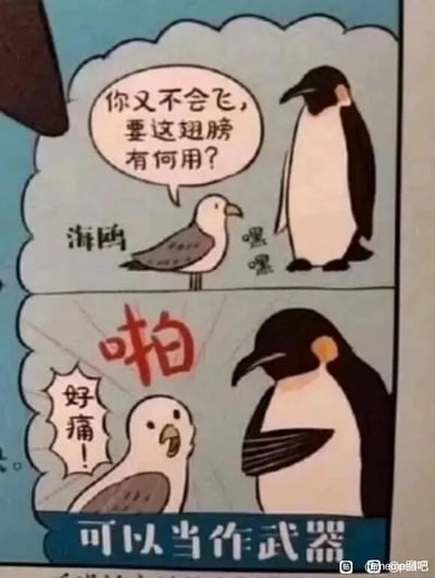 这是一幅由上下两格组成的连环卡通漫画，采用带对白气泡的图文混排形式。第一格中，海鸥站在企鹅旁边，带着嘲讽的语气对企鹅说“你又不会飞，要这翅膀有何用？”，还配上“嘿嘿”的嘲笑语气词，企鹅平静地站在一旁；第二格中，企鹅用自己的翅膀扇向海鸥，被打中的海鸥露出痛苦的表情，大喊“好痛！”，画面下方配有文字“可以当作武器”，以幽默反差的方式回应了海鸥的嘲讽，点明企鹅翅膀的另一种用途，制造出搞笑的效果。