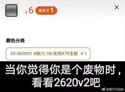 这是一张数码爱好者创作的自嘲梗图，图的上半部分是电商平台的二手CPU商品截图，展示英特尔至强E5-2620V2处理器原价6元，使用优惠券后仅售1元，商品参数标注其为6核/2.1G主频/支持X79主板；图的下半部分为黑底白字配文“当你觉得你是个废物时，看看2620v2吧”，用这款性能过时、售价极低的老旧服务器CPU进行调侃，以此消解自我否定的负面情绪，属于网络搞笑玩梗内容。