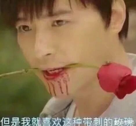 《奈何BOSS要娶我》