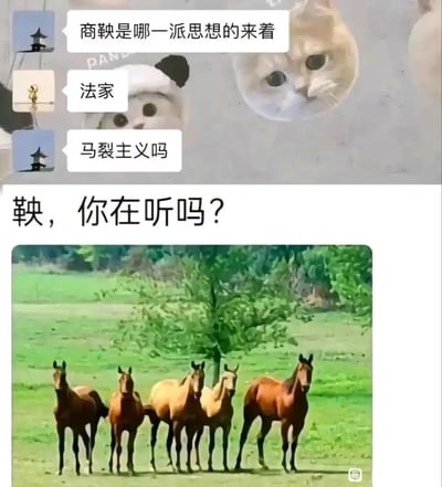 这是一张由聊天记录截图和实景图片拼接而成的谐音玩梗图。上半部分的聊天记录中，一名用户先询问商鞅所属的思想流派，得到“法家”的回答后，玩谐音梗提问“马裂主义吗”，将“马列主义”谐音为“马裂主义”；下半部分是一张五匹马整齐列队站在草地上的户外图片，上方配文“鞅，你在听吗？”，既用“鞅”谐音呼应养马的意象，又用五匹马列队的画面对应“马列（裂）”的谐音，把历史知识和荒诞的谐音梗结合，制造出搞笑的喜剧效果，是网络社区中常见的趣味二次创作内容。