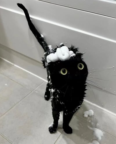 一只全身湿透的黑猫站在浴室的瓷砖地板上，背景是白色的浴缸。猫咪的黑色毛发上沾满了白色的肥皂泡沫，头顶甚至顶着一团蓬松的泡沫，像戴了一顶小帽子。它睁着两只又大又圆的绿色眼睛，瞳孔放大，眼神中充满了震惊和无辜，尾巴笔直地翘起，末端也沾着泡沫。地面上散落着几小团肥皂泡，整个场景显得既滑稽又可爱，仿佛猫咪对洗澡这件事感到十分意外和抗拒。