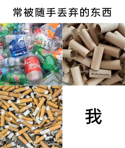 这是一张四格拼接的网络梗图，顶部配有标题文字“常被随手丢弃的东西”。左上角是一堆杂乱的被丢弃塑料饮料瓶垃圾，包含百事、可口可乐、雪碧等品牌的容器；右上角是一堆使用后被丢弃的卫生纸卷筒，堆积在一起；左下角是大量被丢弃的烟蒂，属于典型的随手丢弃的废弃物；右下角则是一个醒目的“我”字。该梗图通过将“我”与这些毫无价值、被随意丢弃的物品并列，用自嘲的手法，把自己类比成这些不被珍视、轻易被抛弃的存在，以此表达自身感觉被忽视、不被重视，如同垃圾一样被随意对待的低落、自我否定情绪，能够引发有相似情绪体验的人的共鸣。