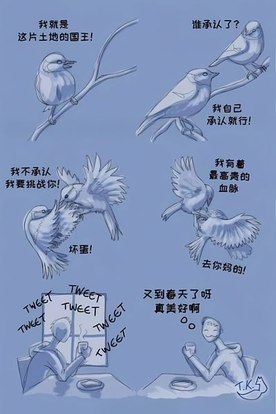 这是一幅六格连环漫画，以浅蓝色为背景，描绘了小鸟间的戏剧性争吵与人类对春日鸟鸣的美好误解。第一格：一只小鸟站在树枝上宣称“我就是这片土地的国王!”；第二格：另一只小鸟质疑“谁承认了?”；第三格：第一只鸟傲气回应“我自己承认就行!”；第四格：第三只小鸟愤怒挑战“我不承认 我要挑战你!”并骂道“坏蛋!”；第五格：争执升级，自称国王的鸟强调“我有着最高贵的血脉”，挑战者则怒斥“去你妈的!”；第六格：画面转到人类视角，一人坐在电脑前，屏幕上满是“TWEET”字样（模拟鸟鸣），他手持咖啡，另一人（或同一人）感叹“又到春天了呀 真美好啊”。漫画通过小鸟间的幼稚争斗与人类对鸟鸣的浪漫化解读形成幽默对比。