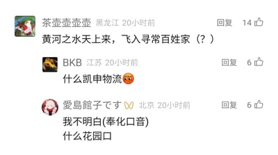 这是一张横版的社交媒体评论区屏幕截图，展示了三条发布于20小时前的用户评论，发布者的IP属地分别为黑龙江、江苏、北京。第一条评论由用户“茶壶壶壶壶”发布，将李白《将进酒》中的“黄河之水天上来”与刘禹锡《乌衣巷》中的“飞入寻常百姓家”拼接，末尾加问号形成混搭玩梗，获得14个点赞；第二条评论由用户“BKB”发布，内容为“什么凯申物流”并附带愤怒表情，获得6个点赞；第三条评论由用户“愛島館子です”发布，用标注“奉化口音”的语气说“我不明白”并提及“花园口”，同样获得6个点赞。这些评论内容均围绕近代历史相关的网络梗展开，是中文网络社区中常见的历史玩梗内容。