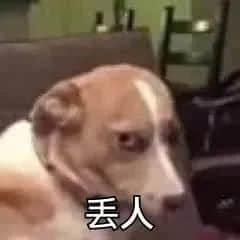 狗狗嫌弃脸配丢人文字表情包