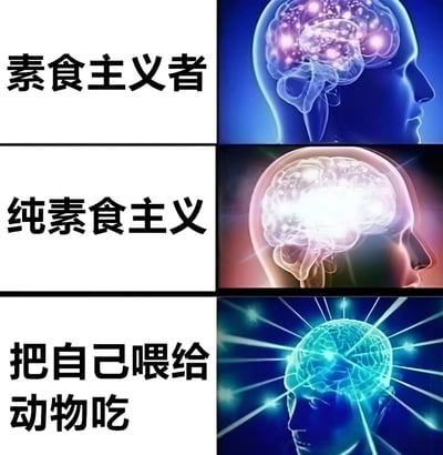 这是一张三行两列的对比梗图，每行左侧为文字，右侧为不同状态的大脑图像。第一行文字'素食主义者'对应右侧带有紫色亮点的大脑；第二行'纯素食主义'对应更亮的白色发光大脑；第三行'把自己喂给动物吃'则对应发出蓝色光芒且有放射状线条的大脑，通过夸张的脑活跃度对比，讽刺了从普通素食到极端行为的荒诞逻辑升级。