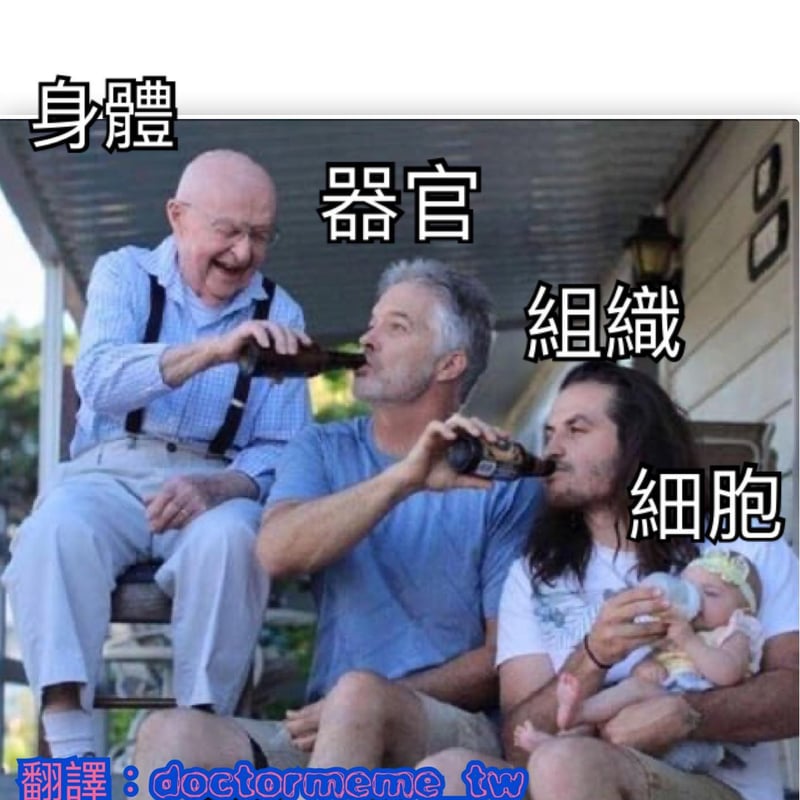 老人