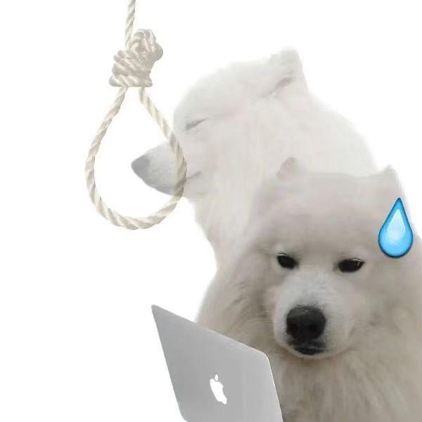 萨摩耶犬