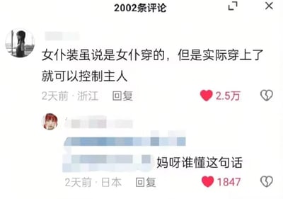 这是一张中文社交平台的评论区截图，页面顶部标注共有2002条评论。第一条评论由IP属地为浙江的匿名用户于2天前发布，内容为“女仆装虽说是女仆穿的，但是实际穿上了就可以控制主人”，收获2.5万点赞；第二条是IP属地为日本的匿名用户于2天前发布的回复，内容为“妈呀谁懂这句话”，收获1847个点赞，两条评论的发布者用户名以及其余楼层的评论内容均被打码隐去，整体内容围绕对女仆装相关的趣味调侃展开，充满反差感。