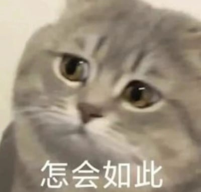 一张灰色猫咪的特写照片，猫咪睁着圆溜溜的大眼睛，眼神中透露出困惑和惊讶。图片底部配有白色文字'怎会如此'，表达了对意外情况的不解。整体画面简洁，猫咪的表情与文字完美结合，形成一个生动的疑惑表情包。
