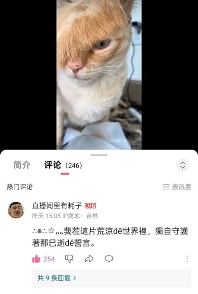 一张社交媒体截图，上半部分是一只橘猫，它的毛发被修剪成类似人类刘海的样式，遮住了一只眼睛，表情看起来十分高冷。下半部分是Bilibili的评论区，显示一条热门评论："我在这片荒凉de世界裡，獨自守護著那已逝de誓言。" 这种高冷猫咪配上中二文字的反差产生了幽默效果。
