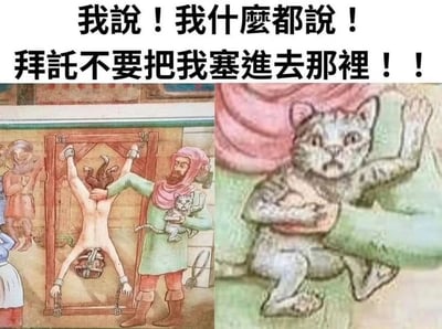 这是一张由两幅历史插画拼接而成的搞笑梗图。上方配有文字“我說！我什麼都說！拜託不要把我塞進去那裡！！”。左侧画面展示了一个中世纪场景，一名男子正将一个人固定在类似拷问架的刑具上，同时怀里抱着一只猫。右侧画面是左侧图中猫咪的特写，猫咪表情惊恐，前爪举起，仿佛在求饶。图片通过拟人化手法，将猫咪的表情与人类面临酷刑时的反应联系起来，形成幽默效果。